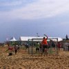 HBC2011
